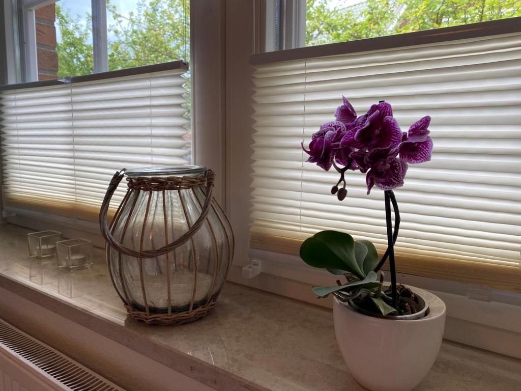 Haus Jenny Wohnung E1 Mit Terrasse ボルテンハーゲン エクステリア 写真