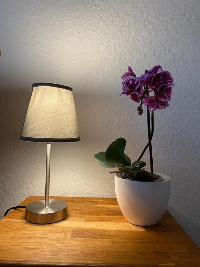 Haus Jenny Wohnung E1 Mit Terrasse ボルテンハーゲン エクステリア 写真
